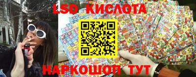spice Кунгур