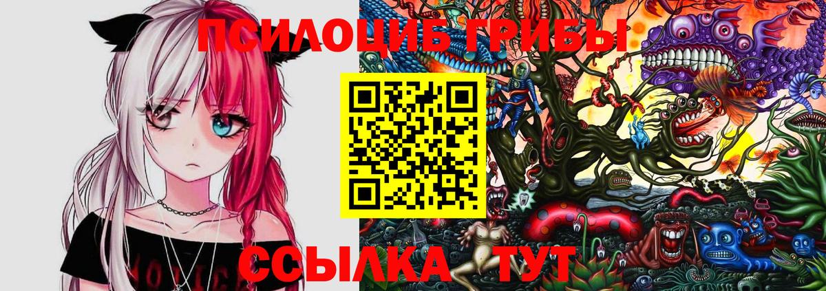 Псилоцибиновые грибы мицелий Дивногорск