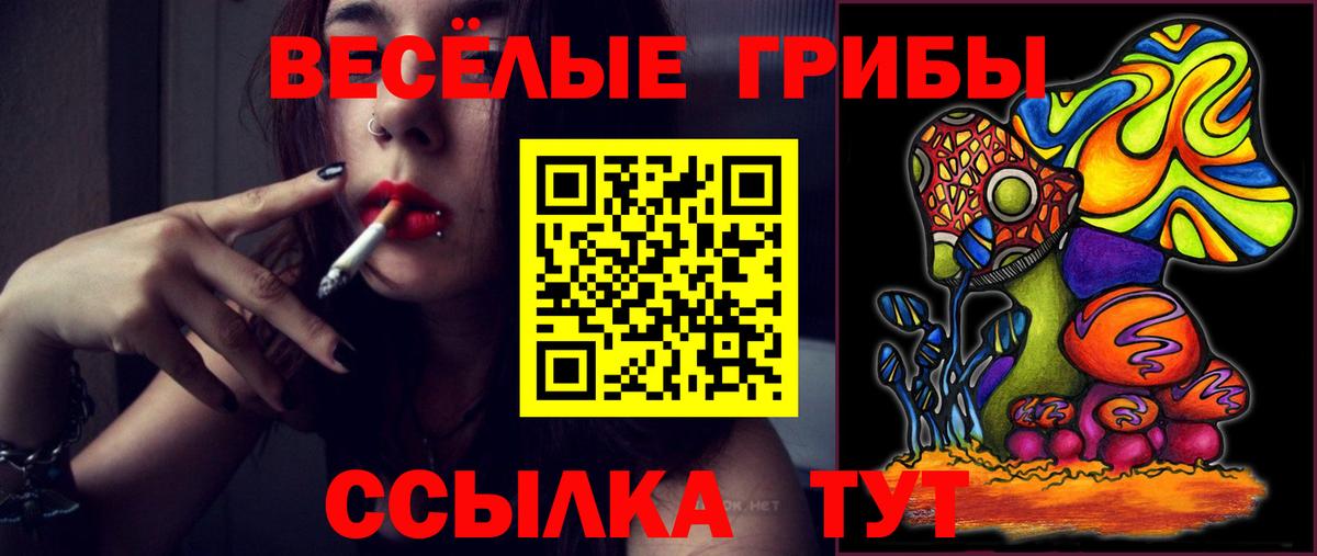 Дивногорск  Псилоцибиновые грибы Magic Shrooms  Вход с VPN  Галлюциногенные грибы мухоморы 